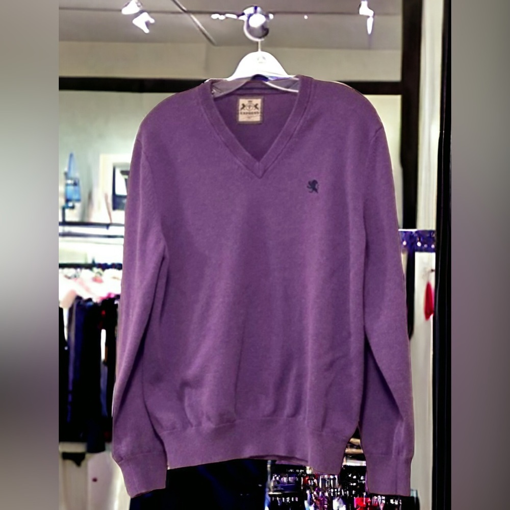 Men’s Vintage Express v-neck sweater. - Picture 1 of 8